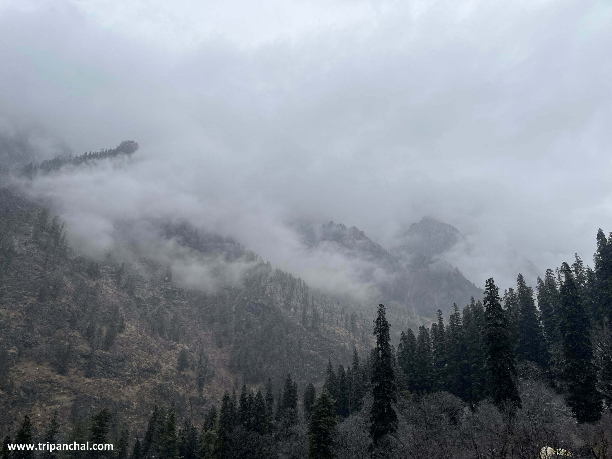 kheerganga trek