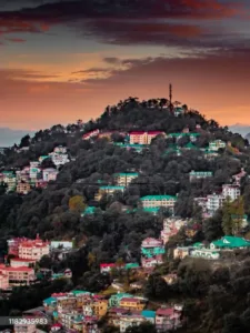 top 5 hotels in shimla